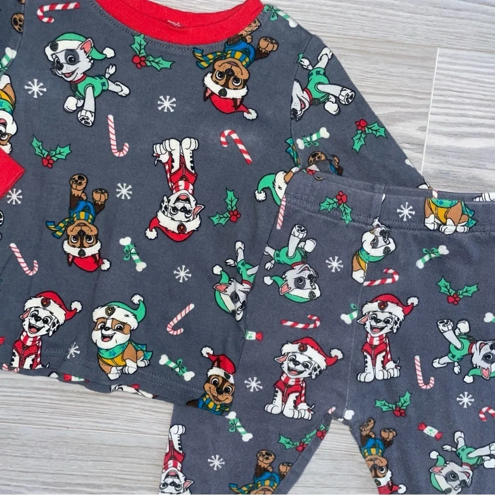 Nickelodeon paw patrol